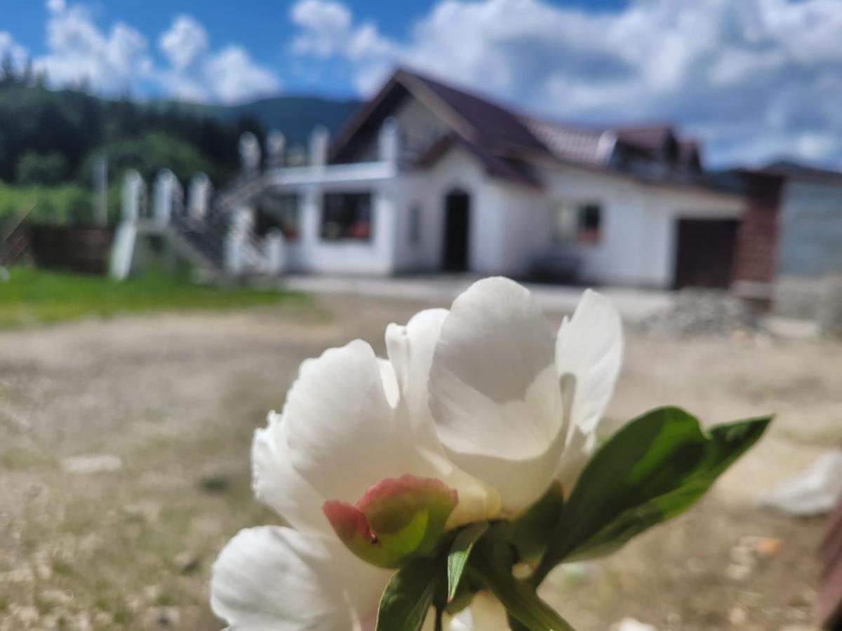 Poarta Zaganului Cheia Otel Cheia  Dış mekan fotoğraf